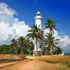 7-Day Scenic Highlands & Galle Coast Retreat
