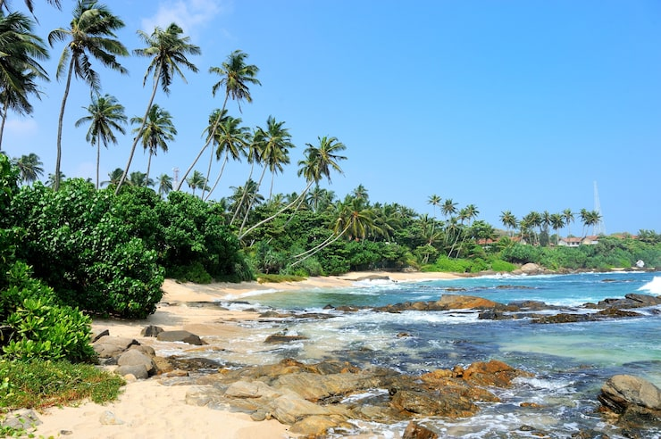 7-Day Ultimate Sri Lanka Wildlife Circuit (7)