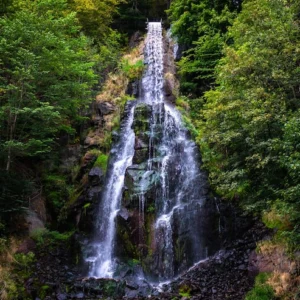 8-Day Rainforests, Leopards & Bears Expedition
