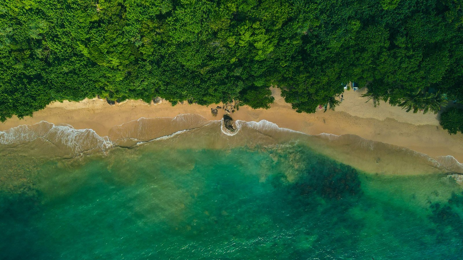 colombo and unawatuna (4)